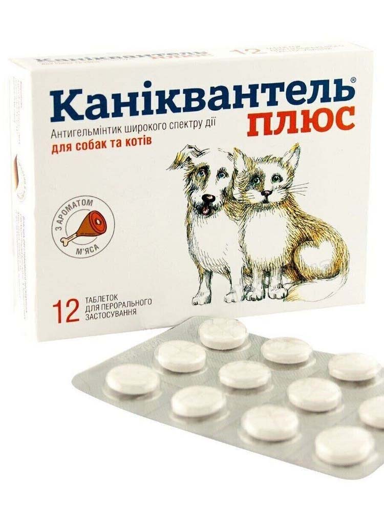 Таблетки проти глистів Haupt Pharma Каніквантель Плюс для собак і котів 1 шт