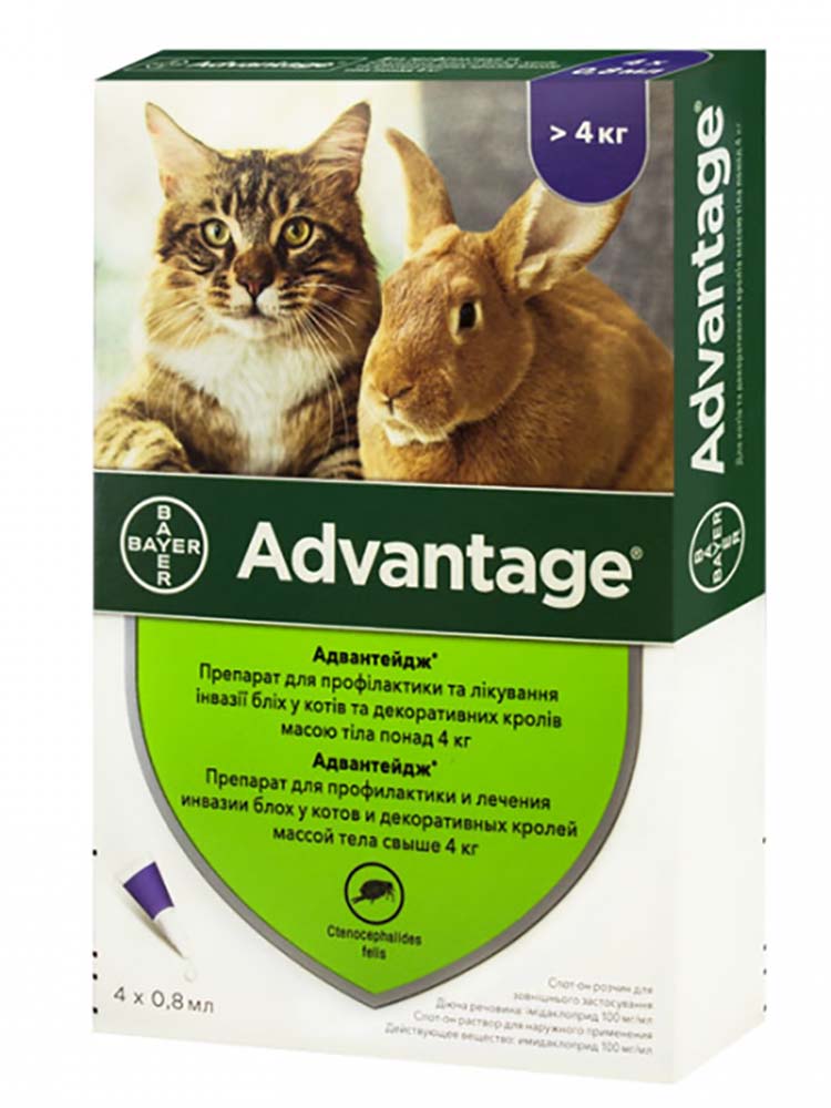 Bayer Advantage 40 для кішок від 4 до 8 кг