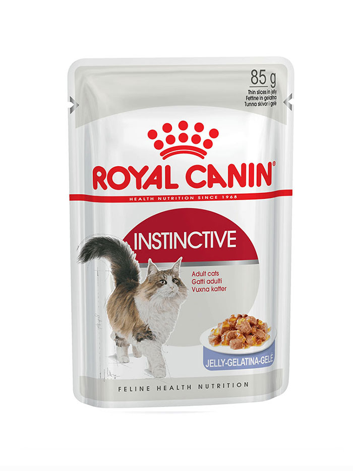 Royal Canin Intense Beauty в желе 85 г 