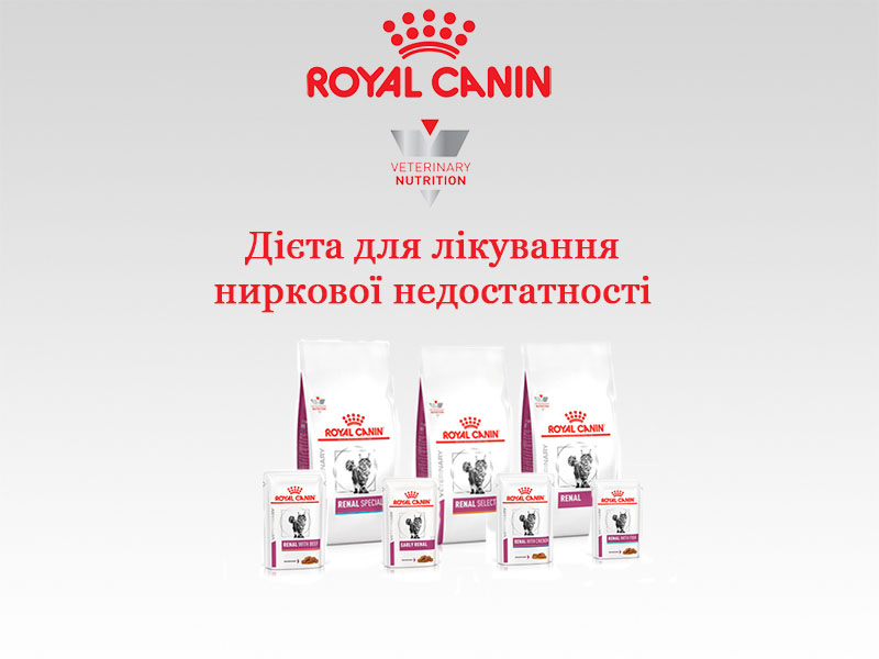 Ветеринарні дієти royal canin для лікування ниркової недостатності