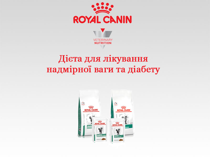 Ветеринарні дієти royal canin при надмірній вазі і діабеті