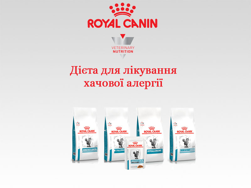 Ветеринарні дієти royal canin при дерматологічних проблемах