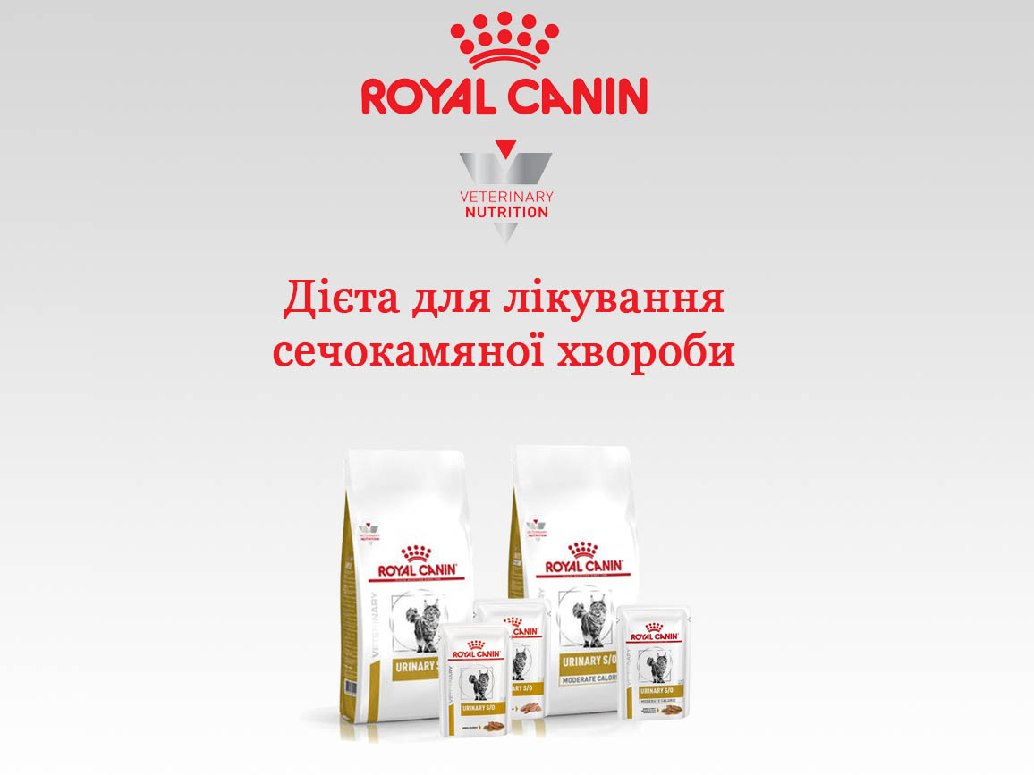 Ветеринарні дієти royal canin для лікування сечокамяної хвороби