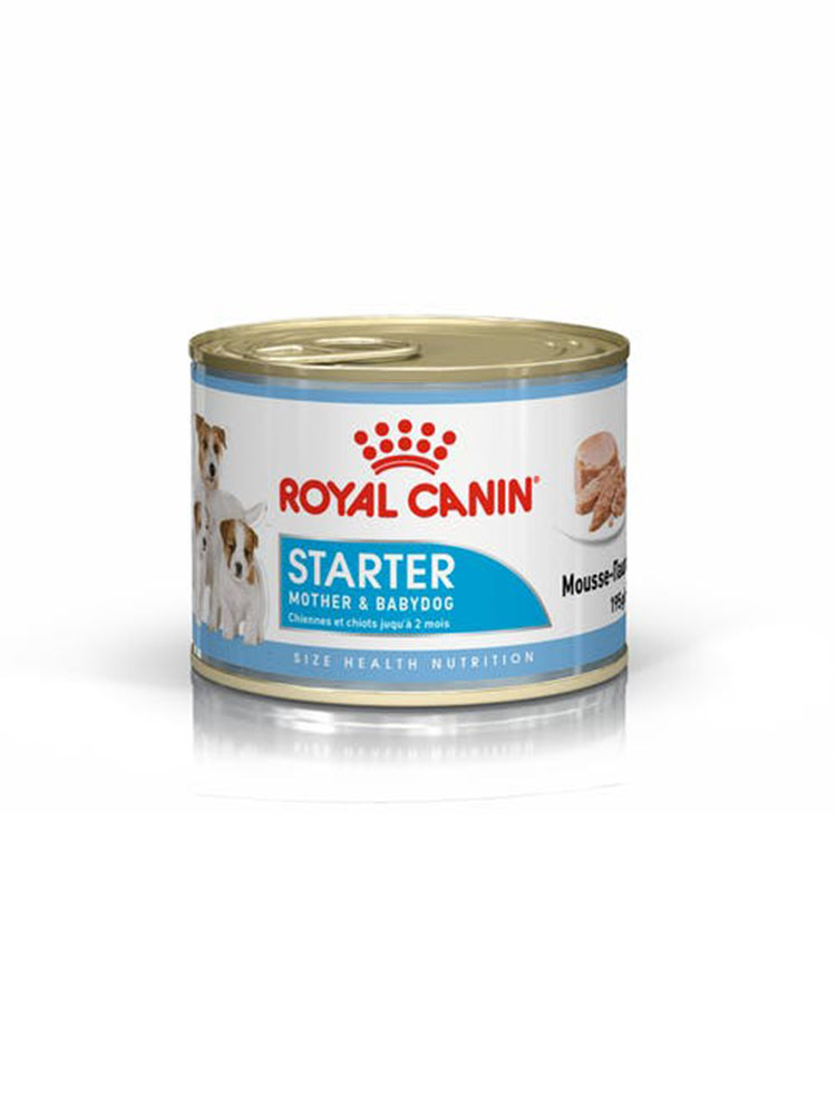 Консервований корм Royal Canin Starter Mousse 195 g