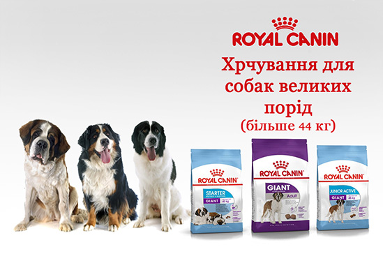 royal canin для собак більше 44кг