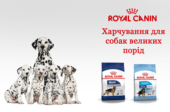 royal canin для великих порід собак