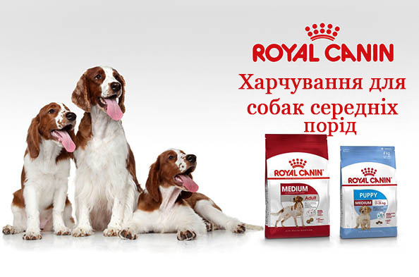 royal canin для середніх порід собак