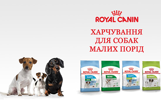 royal canin для малих порід собак