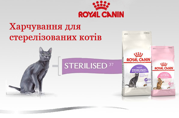 royal canin для стерелізованих кішок