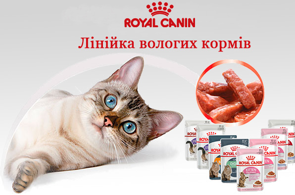 royal canin вологий корм