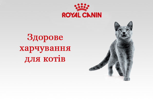 royal canin здорове харчування