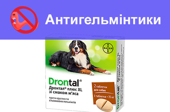 Антигельмінтні препарати для котів і собак